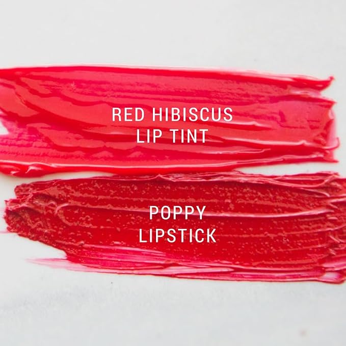 Red Hibiscus