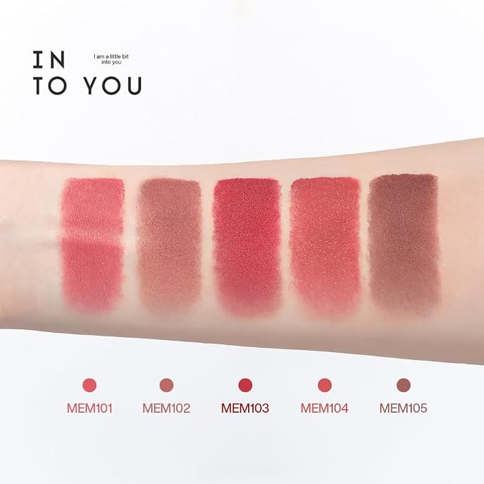 MEM101