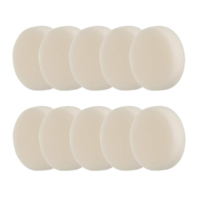 10 pcs Sponge