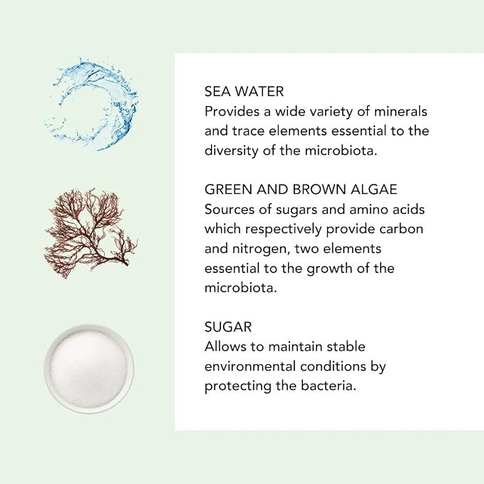 Light Blue (Scrub Mask)