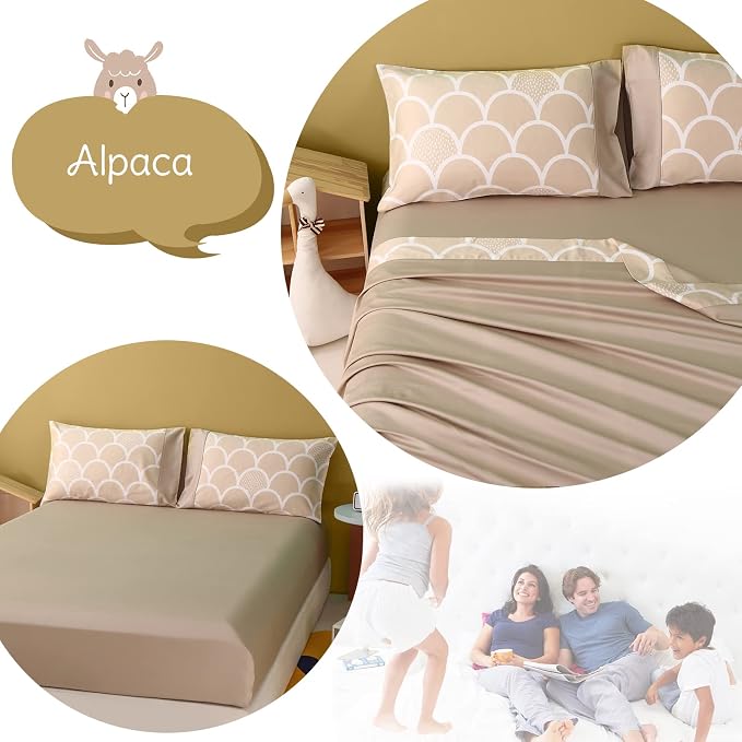 Alpaca