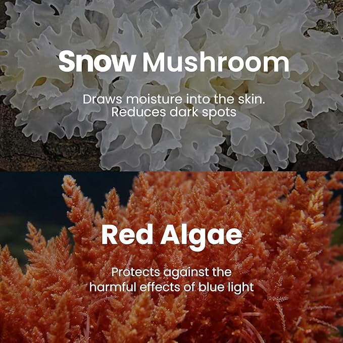 Snow Mushroom