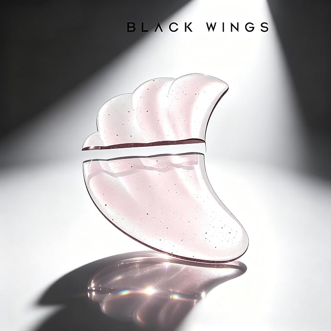WINGS 1pair