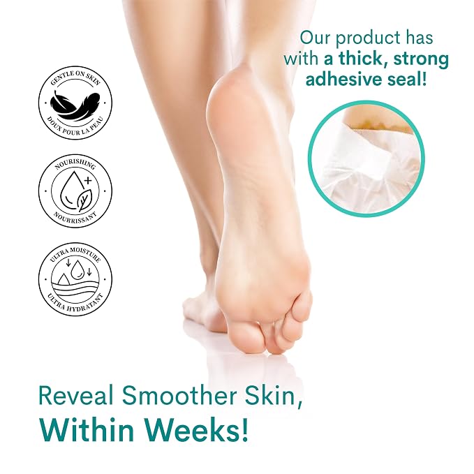 12PK Lavender & Aloe