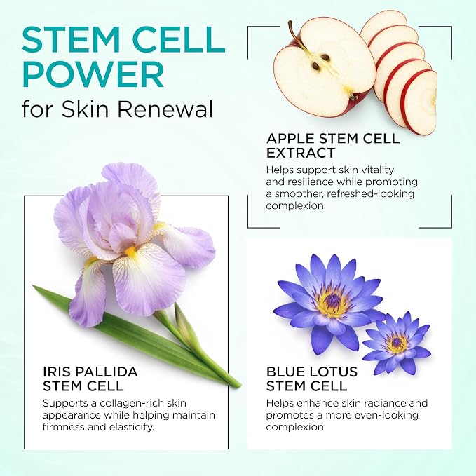 Collagen Stem Cell