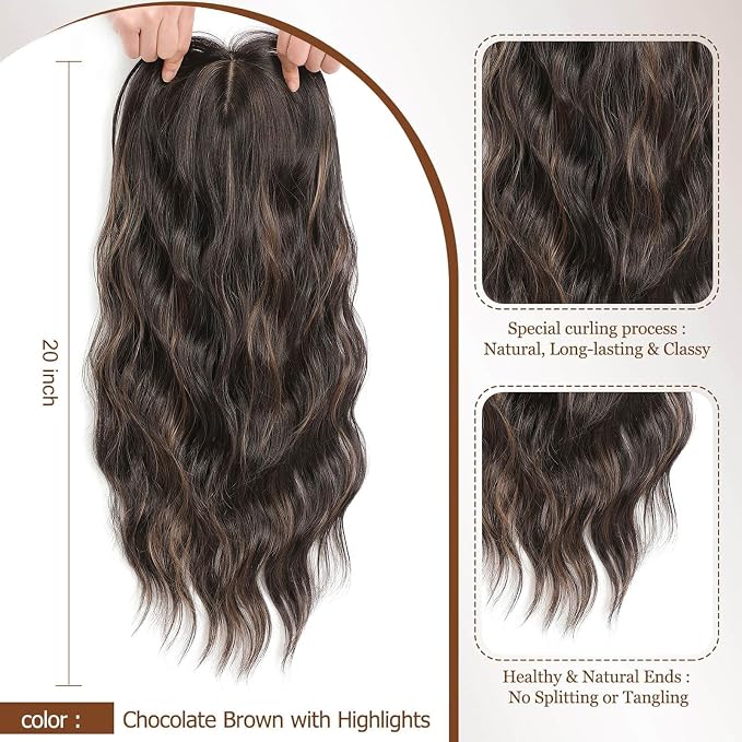 Chocolate Brown with Highlights