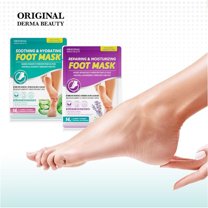 12PK Lavender & Aloe