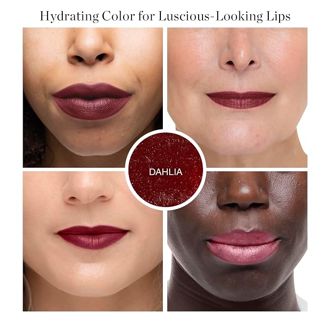 Dahlia - Burgundy Wine